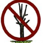 Do not lop or top trees