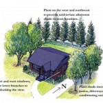 Where to plant trees on your property