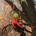 Henk Climbing comp  2